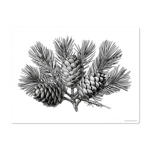 Collection Pinecone