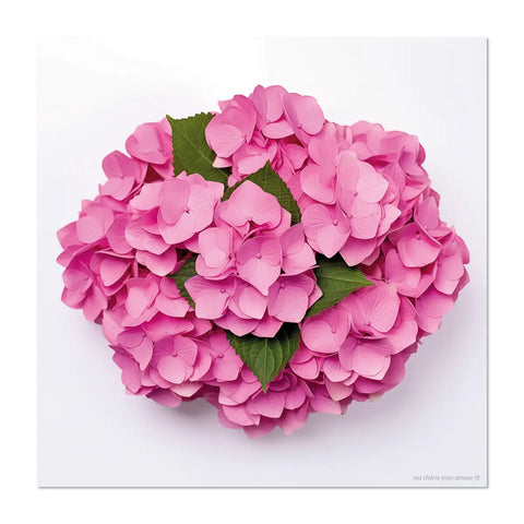 Glass Hortensia