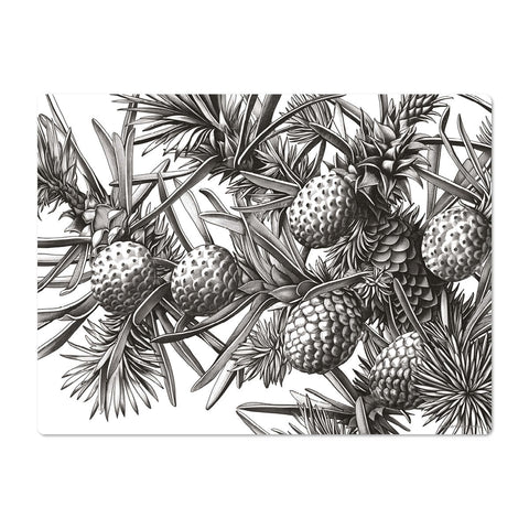 Stylish vinyl placemat featuring elegant black and white pine cone motifs—perfect for any table setting!